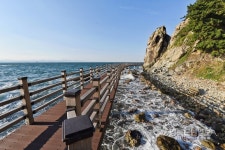 호미반도 해안둘레길 함께 걸어요