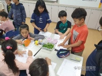 선산초교, 생명의 신비를 누에에게서 배워요