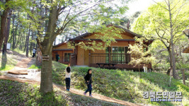 여름 최고 휴양지 산소카페 청송군서 힐링하세요