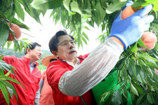 영천·구미 찾은 황교안 보수통합 강조