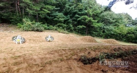 산림공무원, 시유지에 묘지 조성 논란… 문경시 자체조사 결과 주목