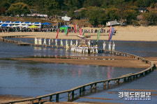 영주 무섬 외나무다리서 시간을 거닐다