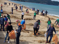 포항 북구청, 태풍피해지역 환경정비