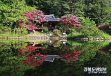 자연 담은 안동 청원루·체화정 보물 된다