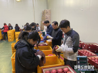 경북농협, APC서 과일포장 등 일손돕기
