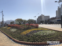 봄맞이 꽃단장으로 시민 위로