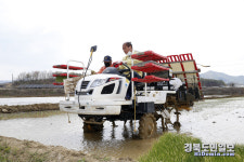 상주 들녘 첫 모내기