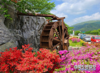 힘차게 돌아가는 물레방아
