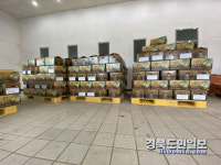 고령 개진감자 직판장 개장