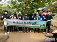 구미시 새마을과, 무을면 포도농장 일손돕기