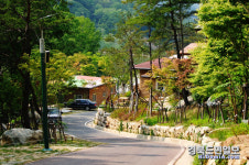 구미·칠곡지역 자연휴양림 문 활짝