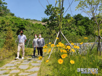 봄꽃 만개 성주휴게소 소공원 인기