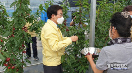 문경 체리하우스 왜화재배 시범사업 현장평가회 개최