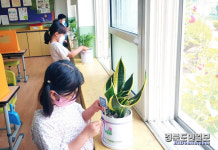 청도 각남초, 공기정화 위해 1인 1화분 만들기 활동 실시