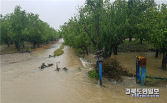 경산 농경지 상습침수 걱정 던다
