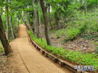 대구 수성구 새단장 마친 진밭골 둘레길 산책하며 힐링하세요