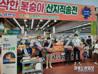 영천 농협 시 연합사업단 울산지역 복숭아 특판 행사