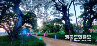 코로나 청정지역 성주군서 안전한 여름휴가 즐기세요