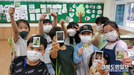 영주 문수초 나만의 사진 찍기 추억 만들기