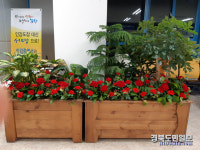 포항 남구청, 종합민원실 실내 화단 정비 등 단장