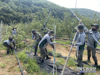 50사단 영덕대대, 태풍피해 복구 구슬땀