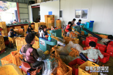 상주 곶감농가 코로나 방역대책 시급