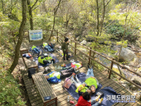 영주시, MOM편한 30인의 아빠단 숲체험 프로그램 운영