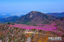 대구 비슬산군립공원·사문진주막촌 편리·안전한 관광지 만든다