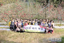 문경유치원, 팔영 정보화 마을서 사과 따기 체험 실시