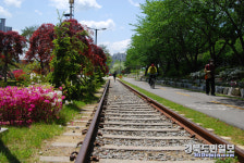 포항 철길 숲 걸어보셨나요