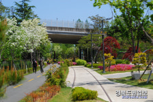포항 철길 숲 걸어보셨나요