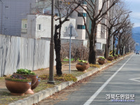 청도 풍각면 겨울맞이 가로환경 경관 환경정비