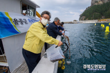 울릉군, 기르는 어업 효자 노릇 톡톡