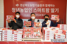 의성 청년농업인 첫 수확 딸기 맛보세요