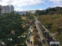 포항 그린웨이 프로젝트 5년간 유형적 가치 1조원