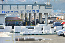 구룡포 귀항 선원 500여명 진단검사