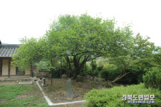문경 장수황씨 종택·상주 우복종택, 아름다운 한국정원 가치 인정