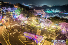 이월드, 별빛 벚꽃 다시 피다