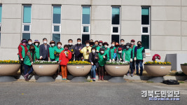 구미시 선산읍, 가로화단에 봄꽃 식재