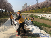 영주시 휴천 철마 적십자봉사회, 원당천 환경정화 활동 전개