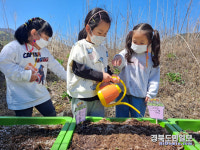 문경 동로초병설유치원 예쁜 꽃 피워줄 씨앗 심어요