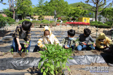 영천 자천초 마음밭 식물가꾸기 생명의 소중함 배워요