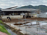 상주 가축분뇨배출시설 합동 점검… 8건 적발