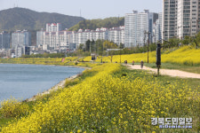 포항 형산강, 생태계부터 시민까지 품다