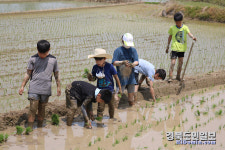 상주남부초 전통 모내기 체험
