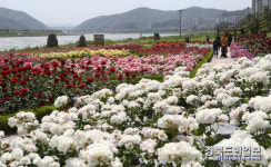 힐링 하려면 포항 형산강 수변공원으로 오세요