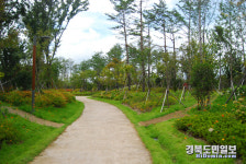 포항, 도심·바다·산 아우르는 푸른 숲을 품다