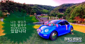 대구 달서구, 찰칵! 행복CAR와 함께 사진·영상 공모 이벤트