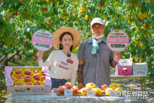 영덕군, 복숭아장터 라이브커머스로 판로 확대