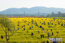 대구시 금호강 하중도 새 이름 지어주세요